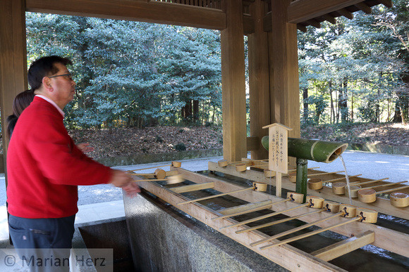 6Tok Meiji Jingu Shrine