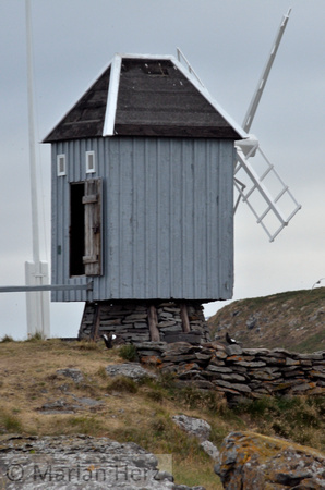 Windmill, Vigur, Iceland_1109