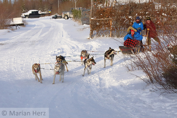 7Ch Dogsledding