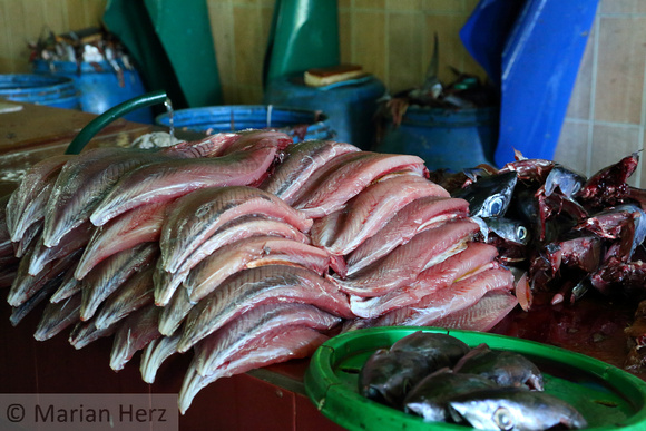 12Mal Fish Market