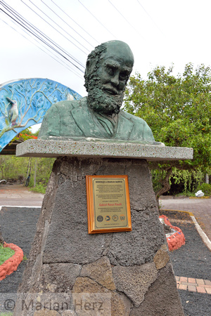 400SC Darwin Statue