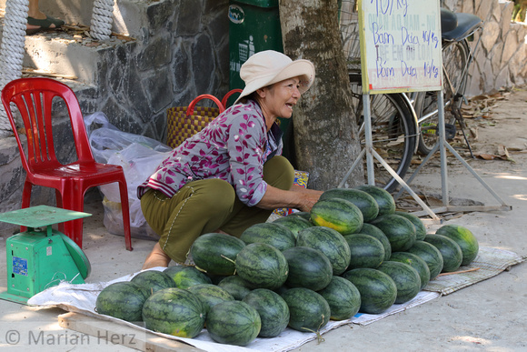 Viet166CBSB Woman Selling Melons