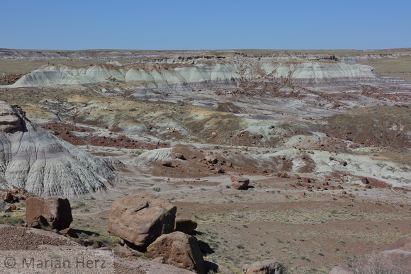 61PF Petrified Forest (37)