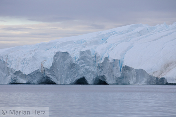 95Il Iceberg