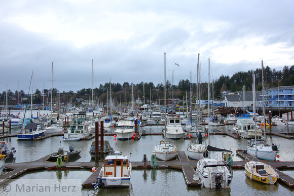 13OA View of Yaquina Bay from Room