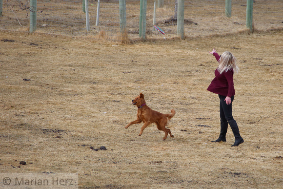 24Yel Woman Playing with Dog
