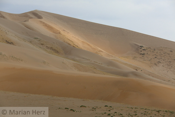 298Arv Sand Dune