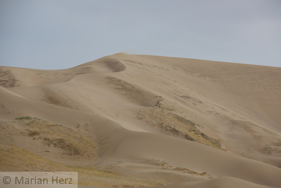 300Arv Sand Dune
