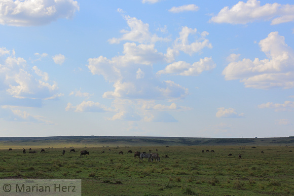 1ABMar Masai Mara